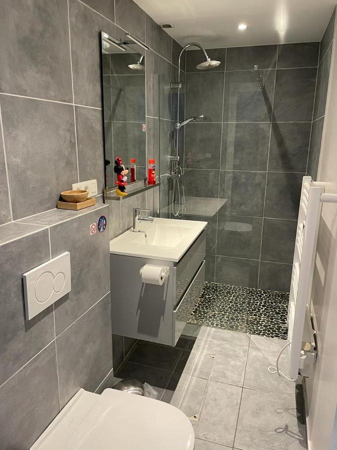 Appartement 5 Personnes Avec Acces Piscine Et Jacuzzi Villers-la-Ville 外观 照片